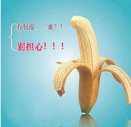 龟头 红点 辽宁