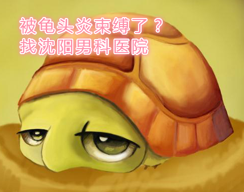 龟头包皮怪什么 辽宁