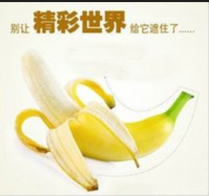 包茎的判断 辽宁