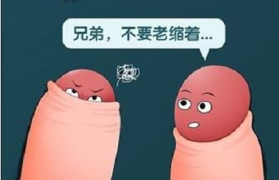 包茎和生育有关系吗 辽宁
